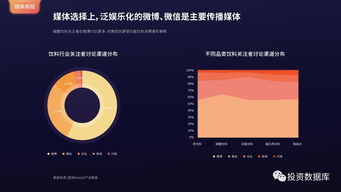 2017年互聯網發展報告 國雙數據中心洞察互聯網數據服務趨勢