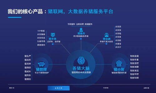 大數據與養豬業深度融合，農信互聯引領行業變革